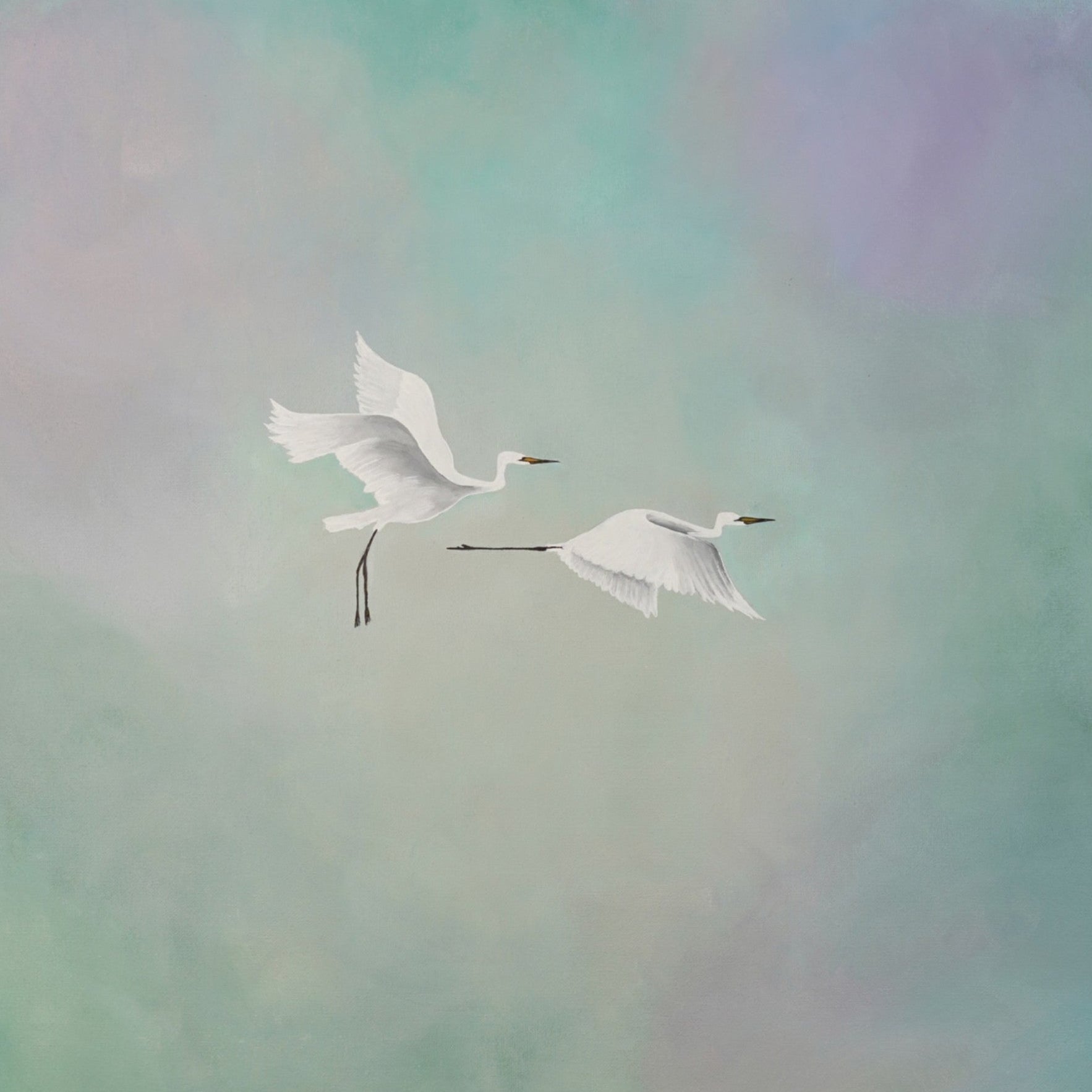 d02c7006-3cea-42e1-8f4e-c1586f1ca568